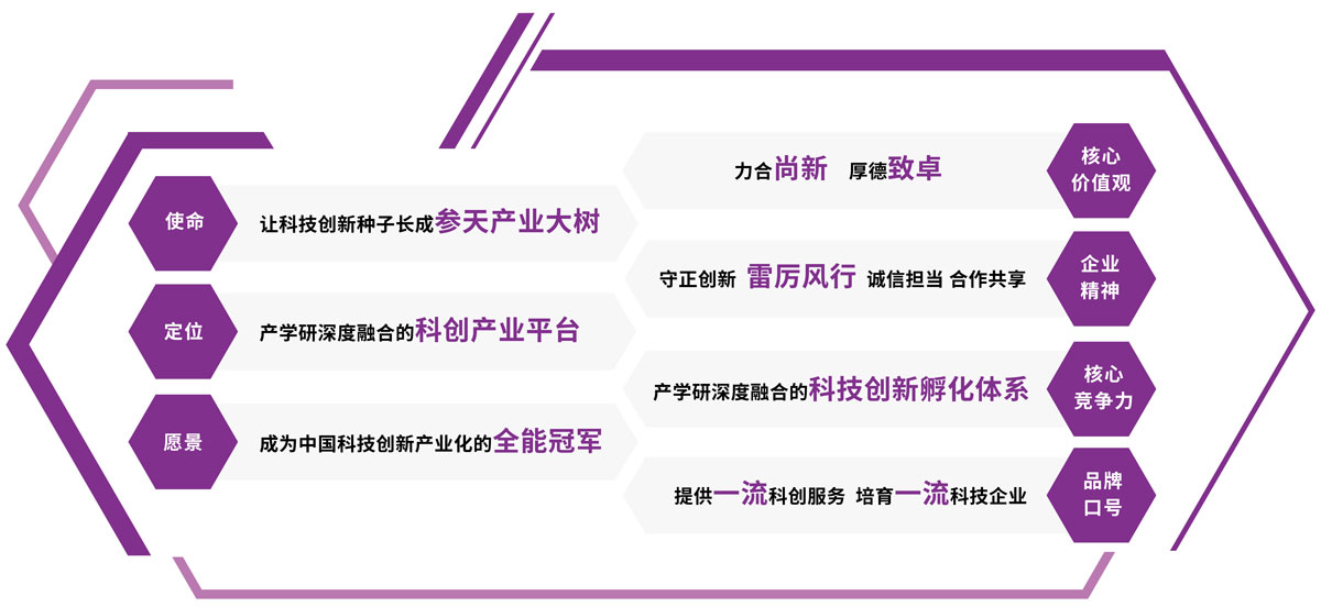 品牌战略顾问 台州非物质文化遗产传承特色美食 采访子臣灰煻鸭养生煨汤 张总 (品牌战略顾问是什么)